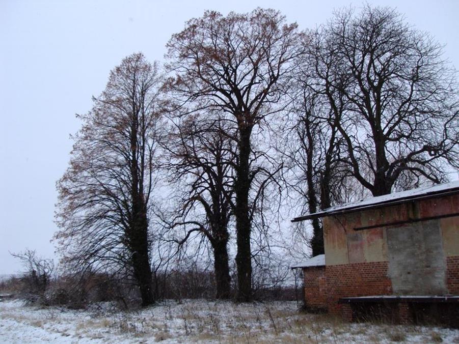 VOGELSDORF (ER)LEBEN e.V.